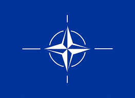 Многие члены НАТО не могут найти точки актуализации Альянса, заявил эксперт
